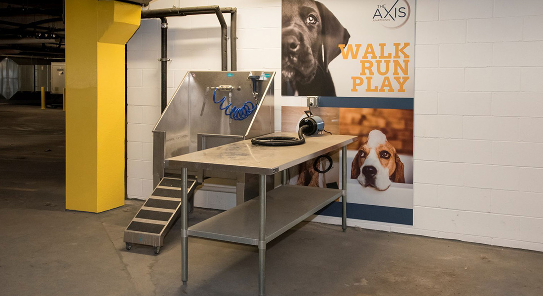 Axis: Dog wash area